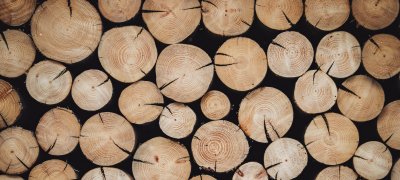 Wood_article_2500x1200