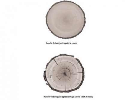 coupe-rondins-de-bois-3