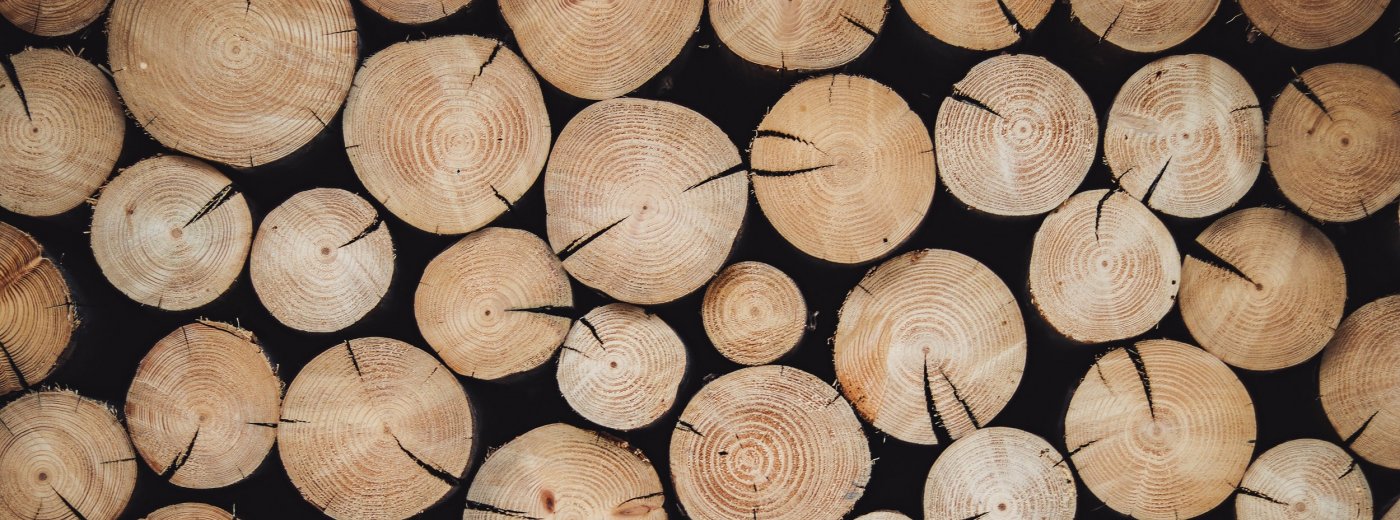 Wood_article_2500x1200